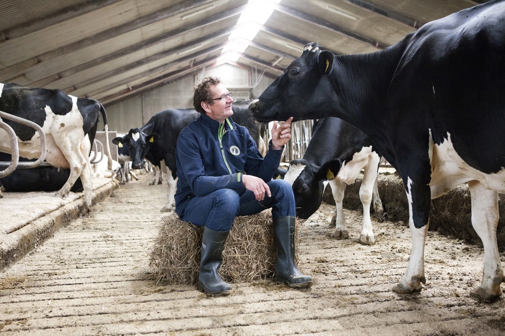 Animal Nutrition Animal Nutrition