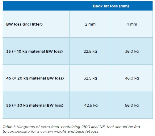 20 kgs Weightloss in summers