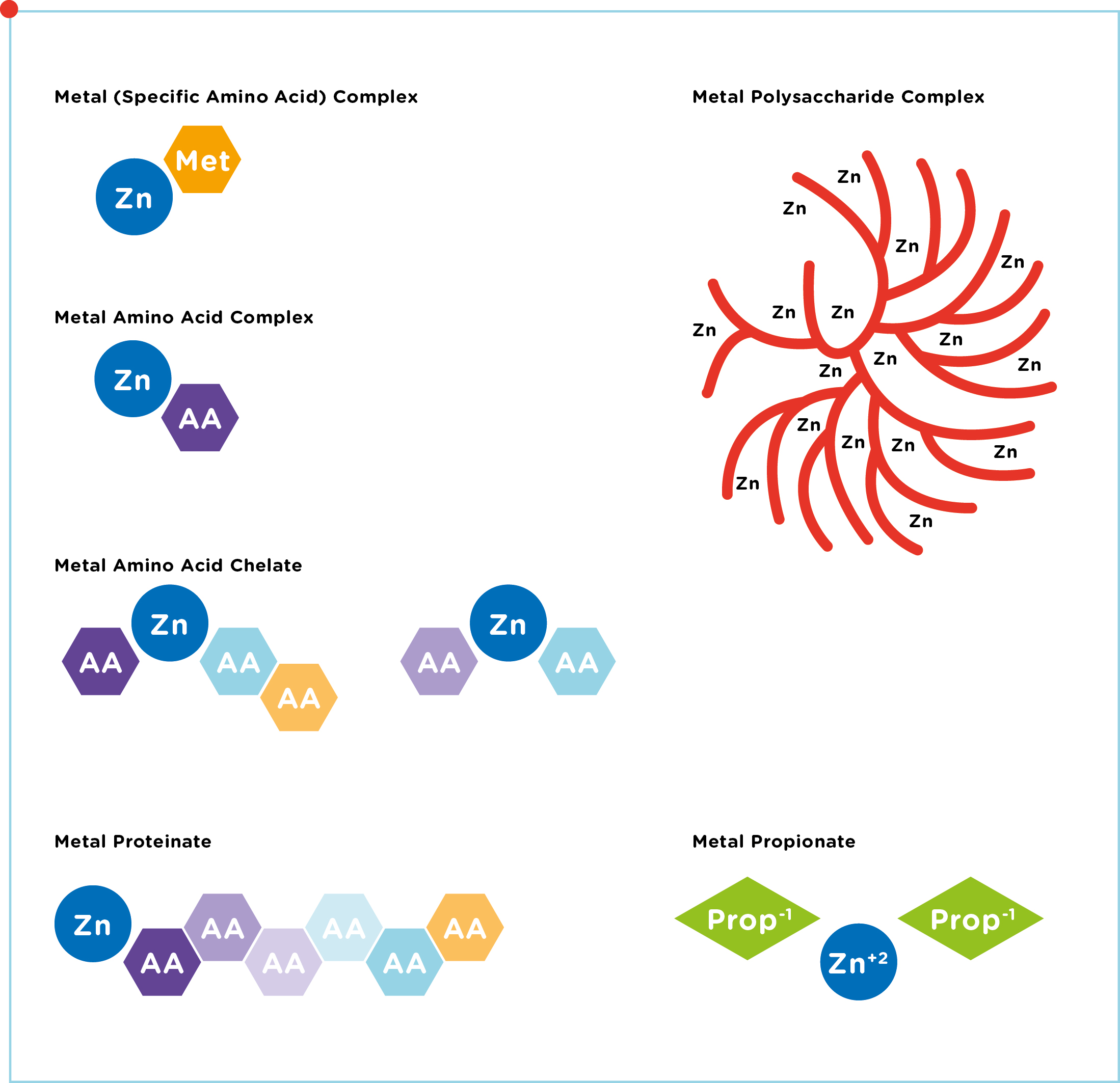 June 2019_Inorganic_Organic_PRX_Graph_1.jpg