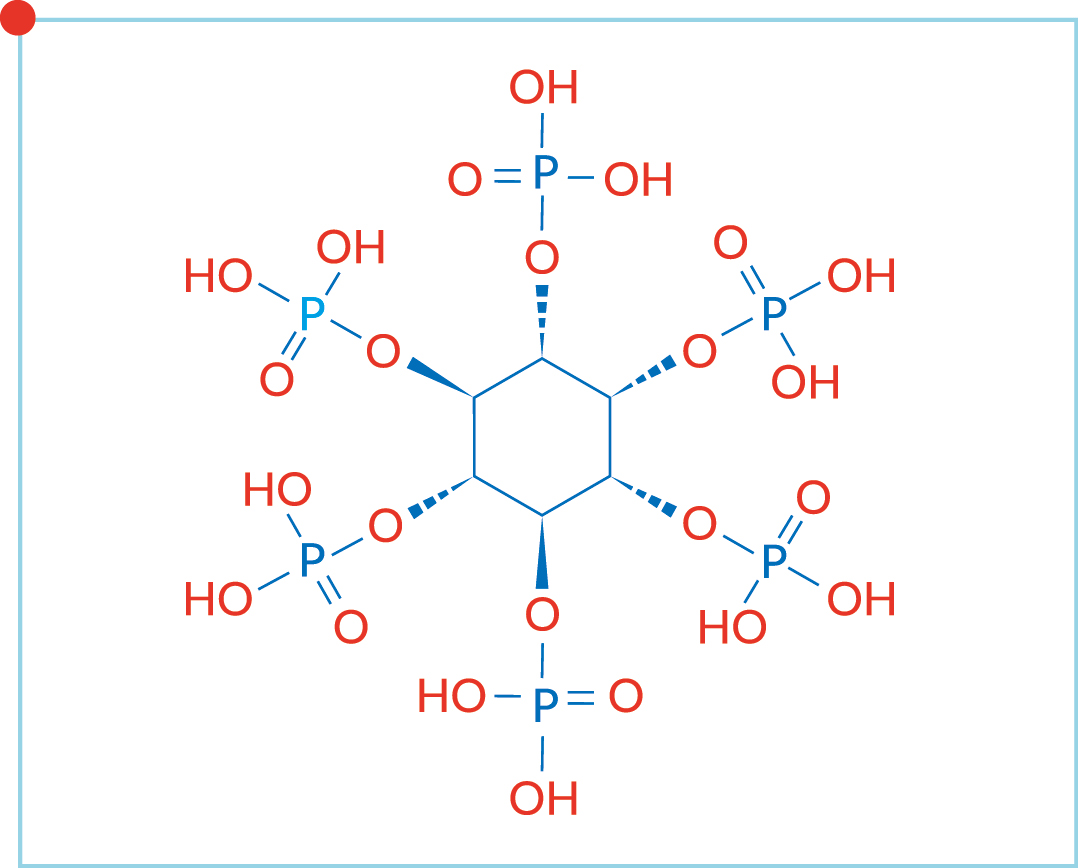 June 2020_How to use phytase_PRX_Alg_Nutritie_Graph_1.jpg