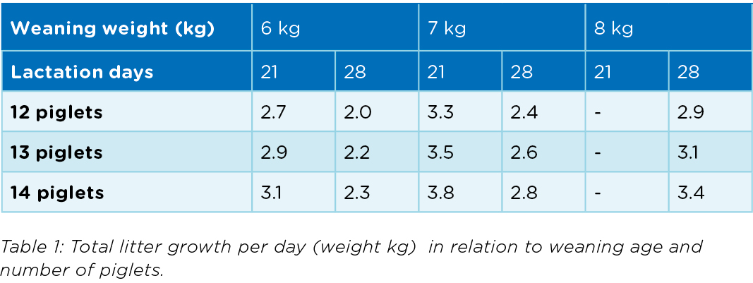 March 2021_Art of selling sow_Varkens_Zeugen_Table_1.jpg