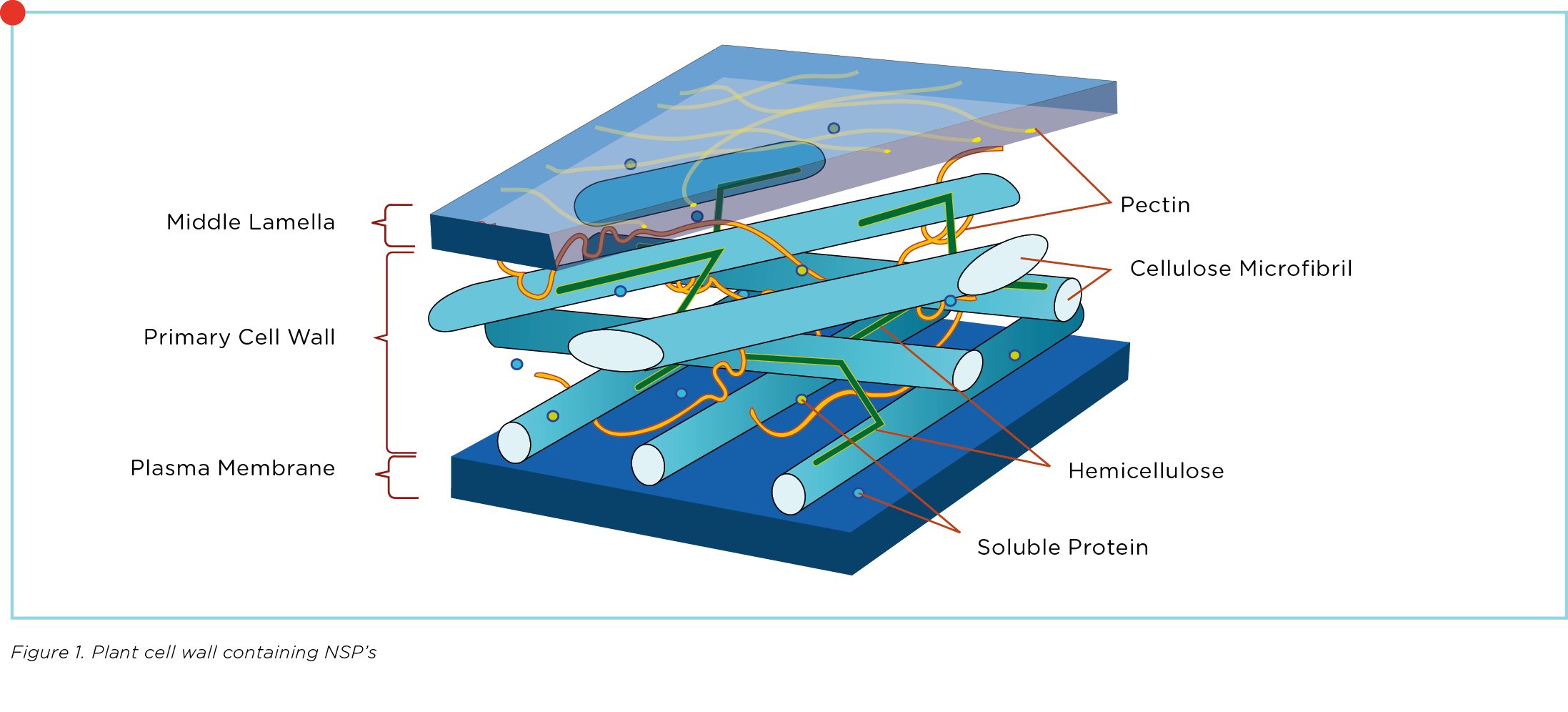 November 2020_Value of enzymes_Poultry_PRX_Graph_1.jpg